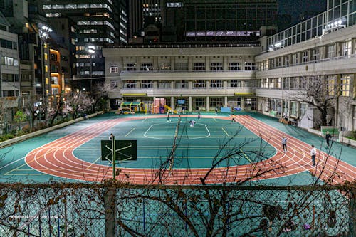 湖人最新动态：东契奇二胎将至，保罗加盟呼声高，迎战猛龙阵容更新