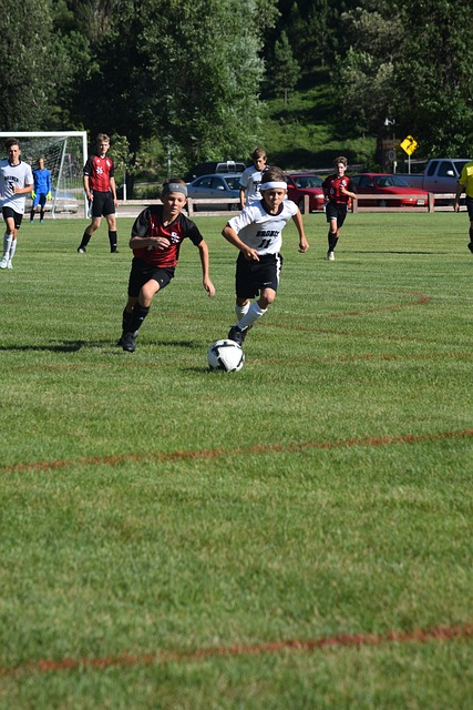 了深度优化 了深度优化