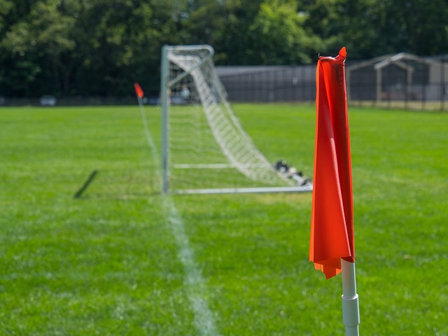 中获得胜利 中获得胜利