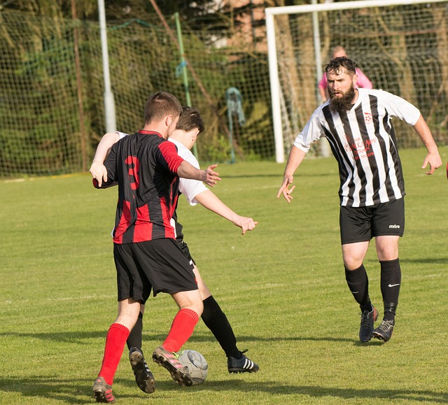 明星家庭矛 明星家庭矛