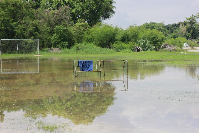 支经验丰富 支经验丰富