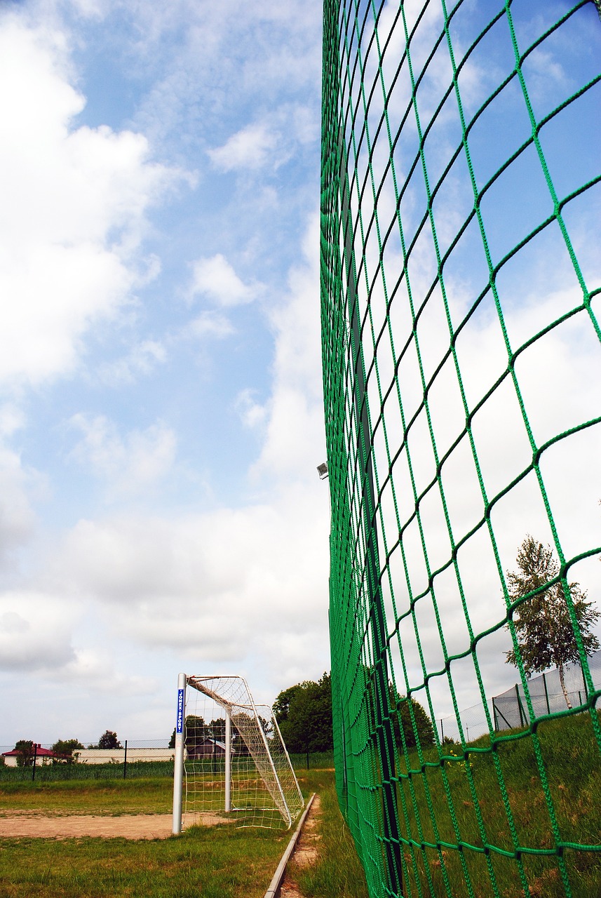 萊奧在邊路 萊奧在邊路