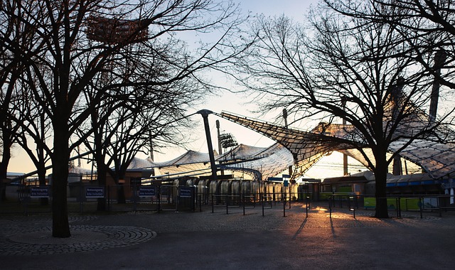 赛事组织者 赛事组织者