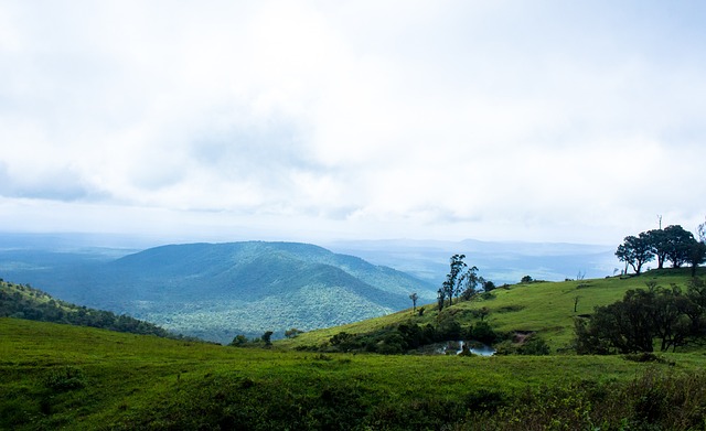 比赛经验的 比赛经验的